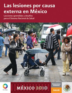 Las lesiones por causa externa en México. Lecciones aprendidas y desafíos para el Sistema Nacional de Salud